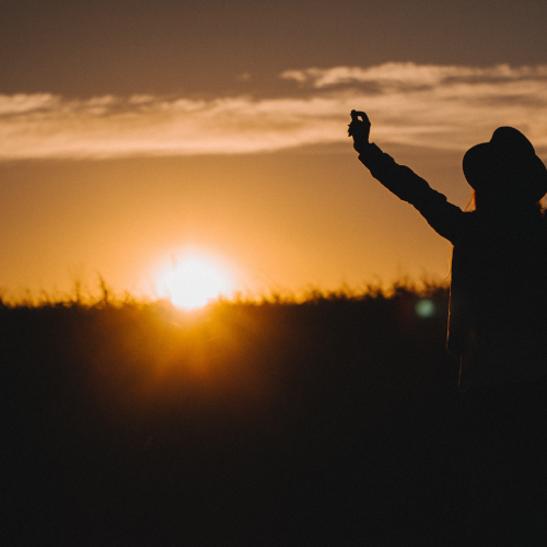 sunset meditation